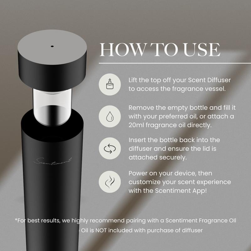 Air 2 Luxe Diffuser